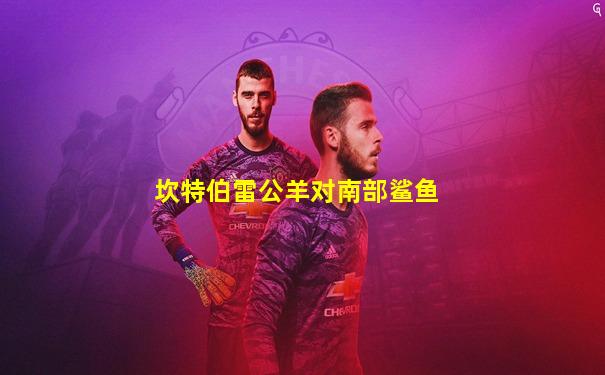 坎特伯雷公羊对南部鲨鱼
