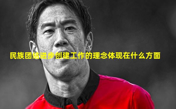 民族团结进步创建工作的理念体现在什么方面