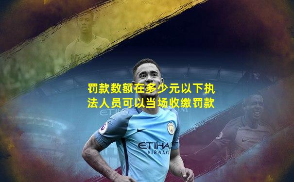 罚款数额在多少元以下执法人员可以当场收缴罚款