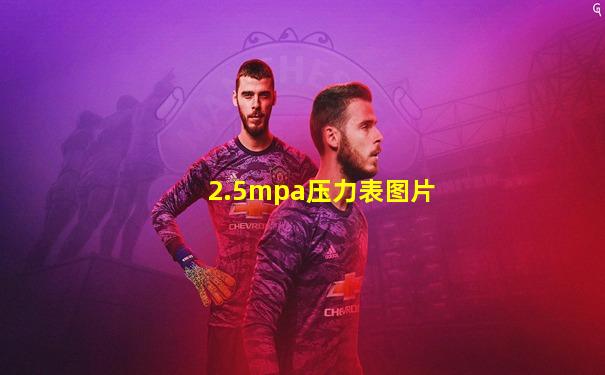 2.5mpa压力表图片