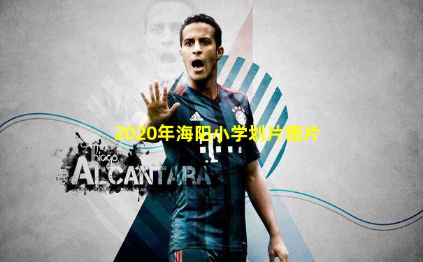 2020年海阳小学划片图片
