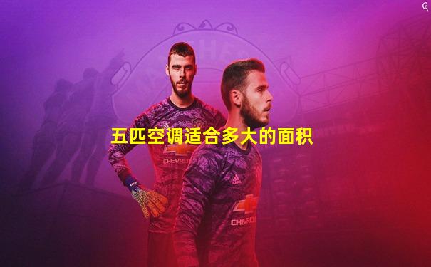 五匹空调适合多大的面积