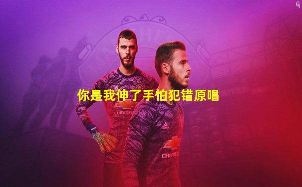 你是我伸了手怕犯错原唱