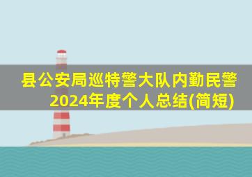 县公安局巡特警大队内勤民警2024年度个人总结(简短)