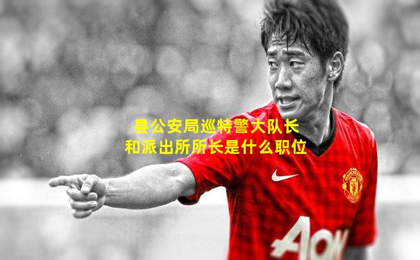 县公安局巡特警大队长和派出所所长是什么职位