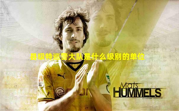 县级特巡警大队是什么级别的单位
