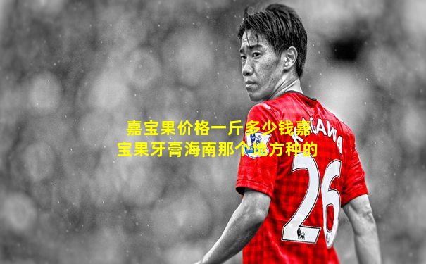 嘉宝果价格一斤多少钱嘉宝果牙膏海南那个地方种的