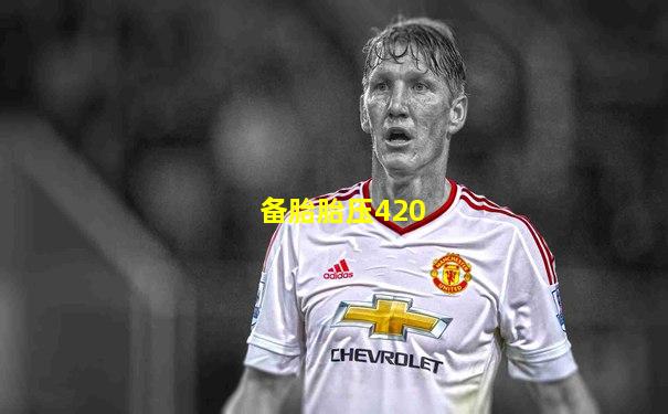 备胎胎压420