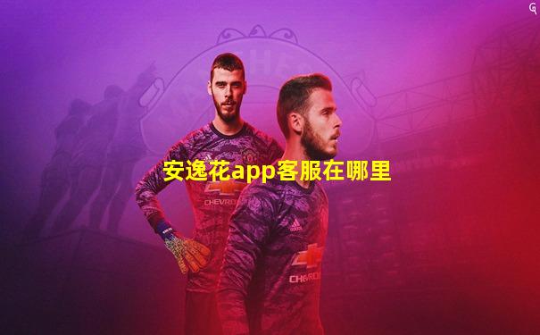 安逸花app客服在哪里