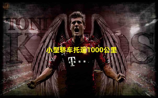 小型轿车托运1000公里