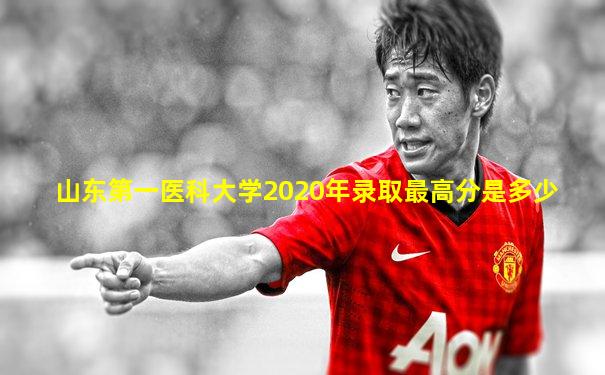 山东第一医科大学2020年录取最高分是多少