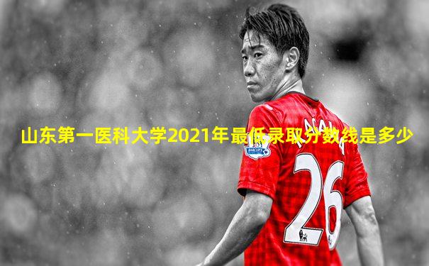 山东第一医科大学2021年最低录取分数线是多少