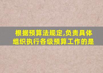 根据预算法规定,负责具体组织执行各级预算工作的是