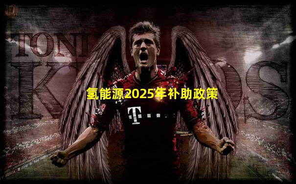 氢能源2025年补助政策