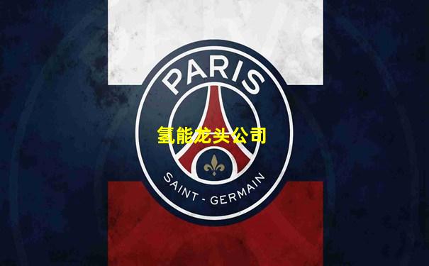 氢能龙头公司