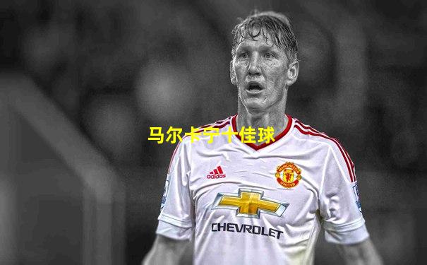 马尔卡宁十佳球