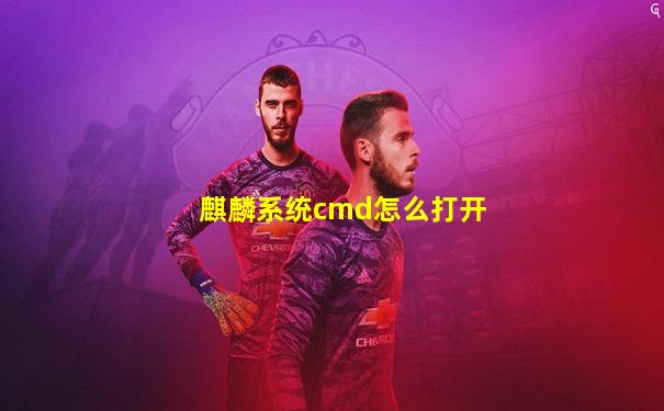 麒麟系统cmd怎么打开