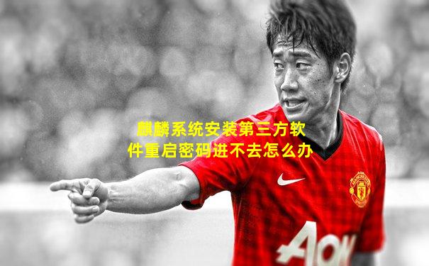 麒麟系统安装第三方软件重启密码进不去怎么办