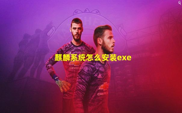 麒麟系统怎么安装exe