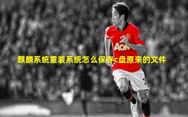 麒麟系统重装系统怎么保存c盘原来的文件